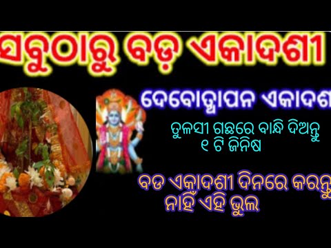 ତୁଳସୀ ବିବାହ / ବଡ ଏକାଦଶୀ କରନ୍ତୁ ଏହି ଛୋଟ ଉପାୟ tulsi bibah/ badaekadashi