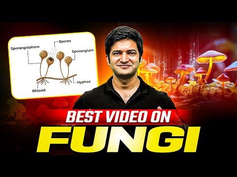 FUNGI - Quick Revision in 30 Minutes | Class 11th Botany | PhysicsWallah