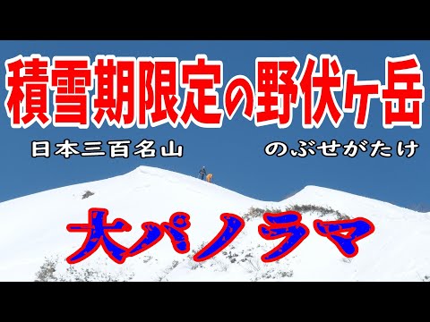 【大パノラマ】積雪期限定！野伏ヶ岳