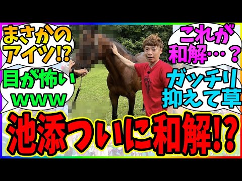 『朗報！？池添騎手がついに"あの馬"と和解する!?』に対するみんなの反応【競馬まとめ】