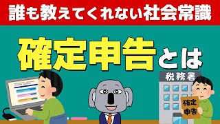 確定申告って何？なぜみんな面倒くさがる？基本から解説します！