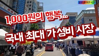 국내 최대  가성비 시장, 일요일만 열리는  일요동대문시장