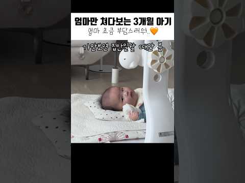 엄마만 쳐다보는 3개월 아기(엄마 조금 부담스러워..🧡) #babyshorts #육아 #3개월아기 #해바라기 #일상 #cute