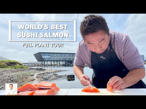 Why This Is The Best Salmon For Sushi - Exclusive Full Plant Operation Tour