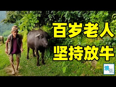 尼泊尔百岁老人：一辈子没出过大山，百岁了还能放牛种地｜淡饭电影