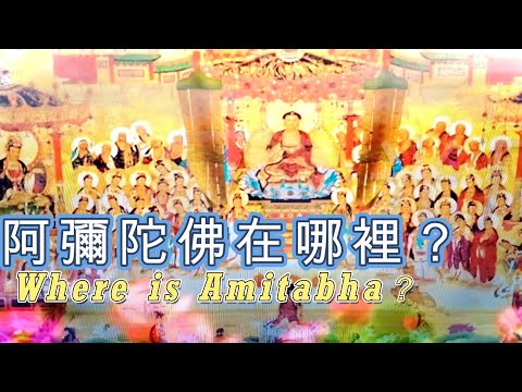 阿彌陀佛在哪裡？Where is Amitabha？#修佛 #佛學 #佛