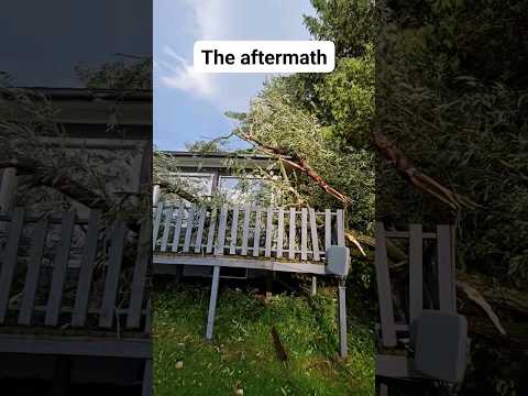 A tornado hit my neighborhood last night. #tornado #storm #foryou #foryoupage