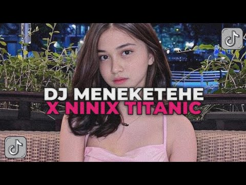 DJ TIAP HARI BERTEMU KAMU DIAM DIAM GITU | DJ MENEKETEHE X NINIX TITANIC BOOTLEG FEBRI REMIX!!!