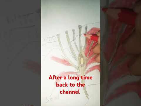 After a long time back to the channel flower drawing #pastmidnight #letmebeme #allyourfault #art