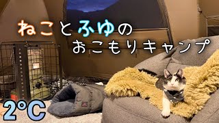 わがまま猫と冬のおこもりキャンプ！【平瀬温泉キャンプサイト】