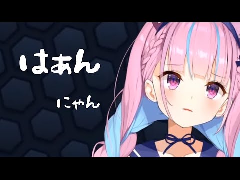 【湊あくあ】はぁん にゃん【ホロライブ切り抜き】