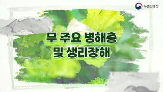 [농업기술동영상] 무 주요 병해충 및 생리장해