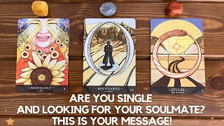 Are You Single And Looking For Your Soulmate? This Is Your Message! ✨😍 📨✨ | Timeless Reading