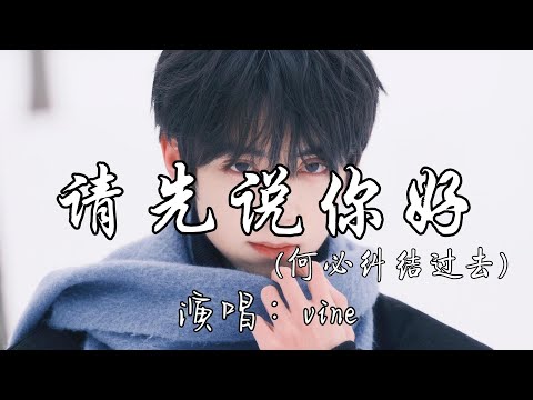 vine - 请先说你好（何必纠结过去）『以后再遇见你再遇见你，请你先说 你好，我怕控制不住就会给你拥抱。』『动态歌词MV』