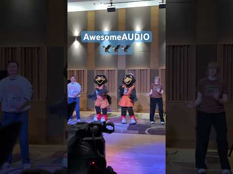 AwesomeAUDIO Shorts