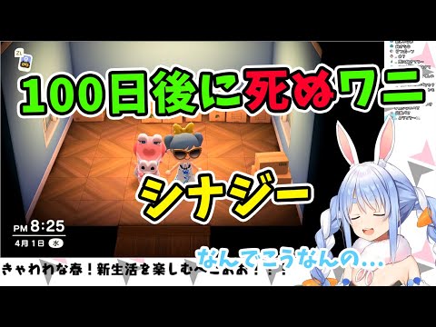 【兎田ぺこら】100日後に死ぬワニシナジーを生んでしまう兎田ぺこら【ホロライブ切り抜き】