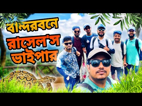 রাসেল ভাইপারের আতংকে কেমন আছে বান্দরবান | Bandarban to Cox's Bazar Vlog 2024 । শেষ পর্ব