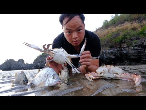 PRIMITIVE SKILLS; Catch fish and crabs, oysters - Survive in the sea