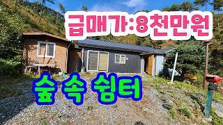 급매!! 600고지 나만에쉼공간. 8천만원 #횡성전원주택# 횡성싼토지 #횡성부동산  #강원도부동산 #강원도전원주택 #횡성급매물 #  둔내부동산