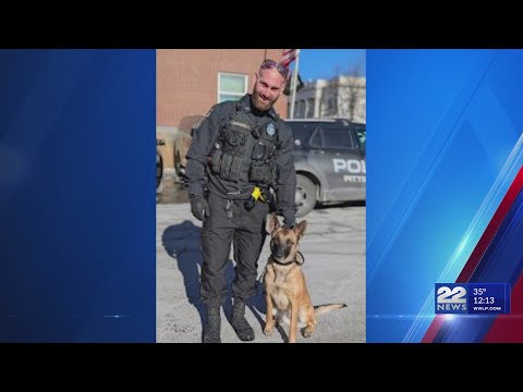 Pittsfield Police welcome newest K-9 member