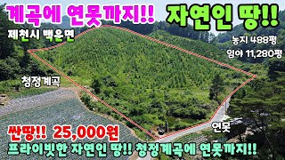 578. 자연인땅 으로 최고의 위치 제천시 백운면 나는자연인이다 땅매매 단독주택매매 제천주택매매 제천토지매매 제천부동산 제천전원주택매매 관광농원