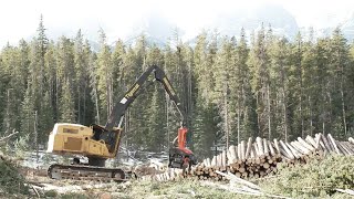 What Alberta is doing to prevent wildfires in Canmore, Bow Valley