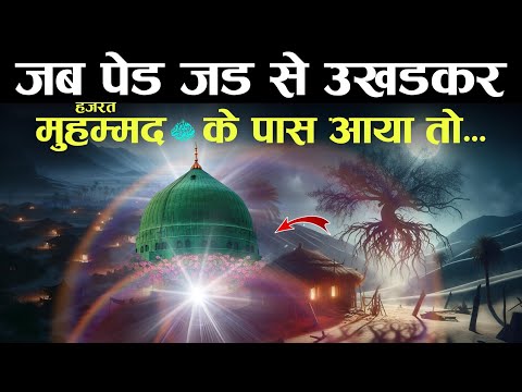 Miracles Of Prophet Muhammed ﷺ पेड़ उख़ड़कर आप ﷺ को सलाम करने आया तो... Tahseel e iLM