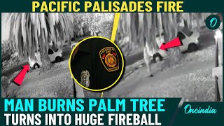 New LA CCTV Footage Reveals Palisades Fire Starter | Palm Tree Turns Into Fireball In Shocking Video