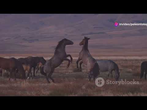 Los Caballos Prehistoricos de Nicaragua.