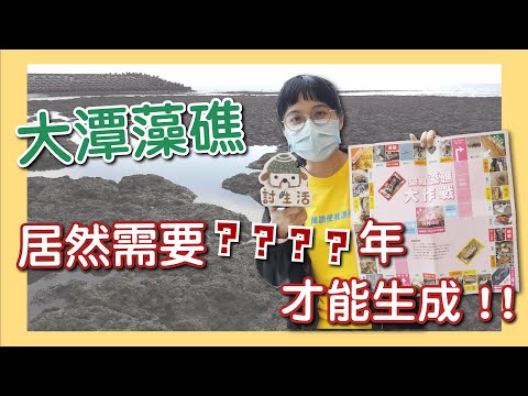 【討生活出外景】藻礁到底是什麼？台灣第一個保護7000年生態系的公投熱血上場！