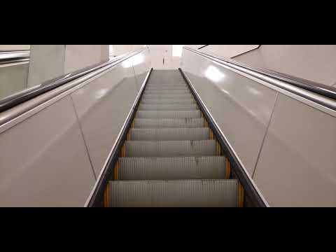 Ride Up Escalator--First Person Perspective