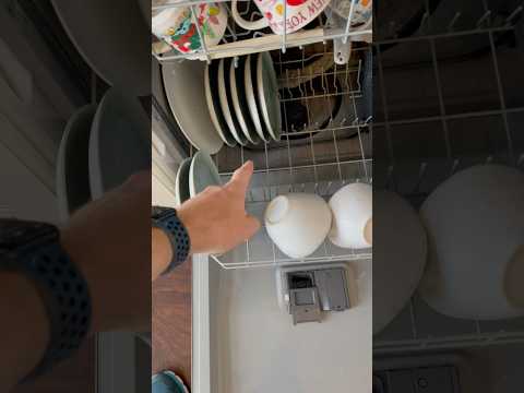 Why to Load Dishes Like This? #bstridediy