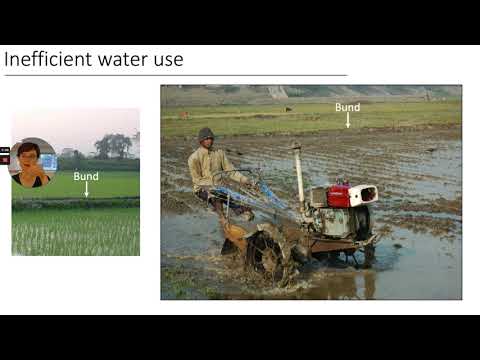 "Groundwater irrigation management in Bangladesh" - Rebecca Neumann