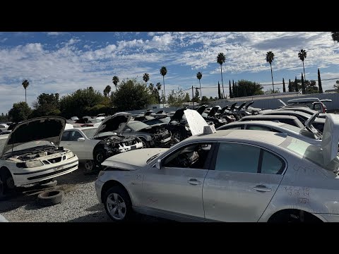 Tour of German Car Section at California Junkyard