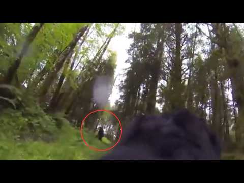 Most UNSETTLING Trail Cam Footage Caught on Camera Vol.3