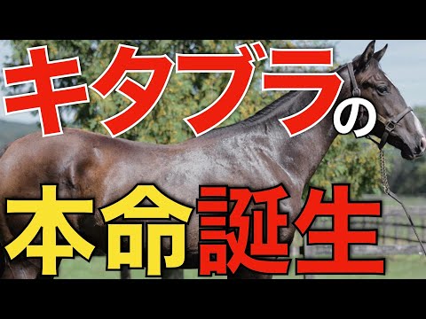 この世代からもクラシック候補！キタサンブラック産駒クロワデュノールが強すぎた。