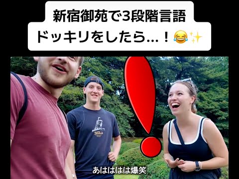 【フル】新宿御苑で3段階言語ドッキリをしたら...！😂✨