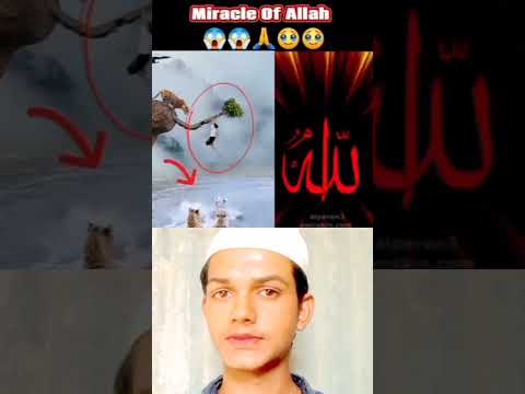 Allah Akbar 😱 reaction motivation Allah Allah #reactionvideo #trending #motivation #viral