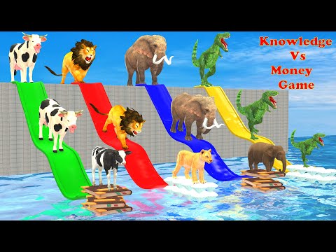 Knowledge vs Money With Elephant Cow Lion Dinosaur What To Choose? Funny 3d Animals Long Slide Game