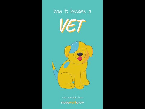 How to become a Veterinarian