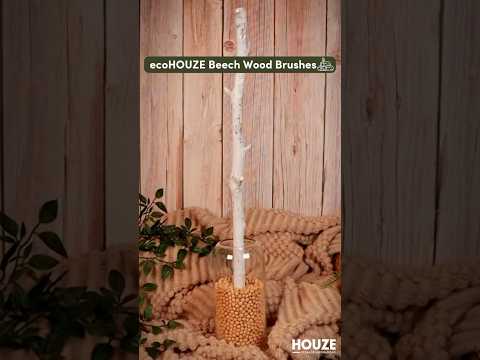 ecoHOUZE |  Beech Wood Brushes