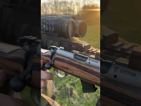 The Silent Assassin: .22LR Subsonic Extreme Long Range Rabbiting