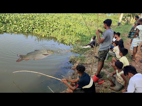 Wow! Unlimited Catch Fish Fishing | Amazing Big Roh Fishing Video | Hook Fishing In Canal