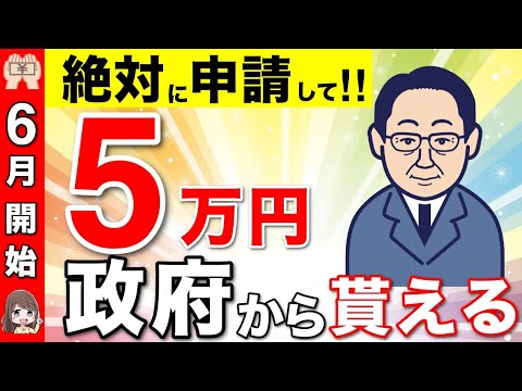 【６月開始】政府からの5万円の給付金！申請方法や支給対象者について解説【定額減税/調整給付金/不足額給付金/年金生活者】