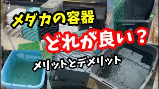 メダカ飼育に適した容器！徹底分析！！【めだか】