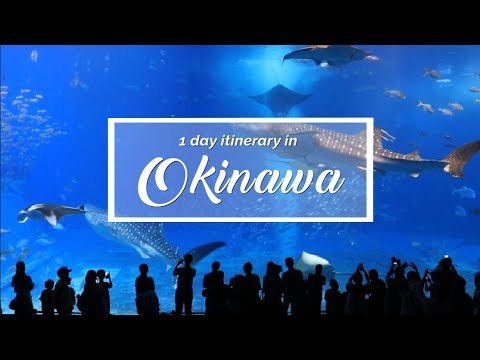 Okinawa - 1 Day Itinerary (Ocean Expo Park, Okinawa Churaumi Aquarium) | Japan Itinerary suggestion