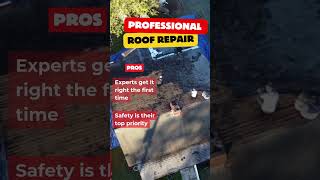 DIY or Pro? Make the Right Choice for Your Roof!