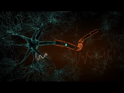 Understanding multiple sclerosis (MS) and the role of NfL testing with a simple blood test