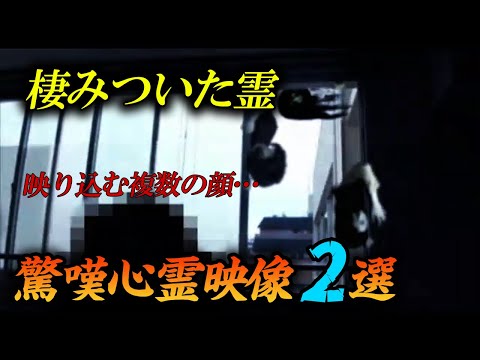 【わけあり映像】棲みついた霊　驚嘆心霊映像2選！