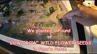 We planted 1 Pound of "Low Grow Wild Flowers Seeds" in Papa's Patch